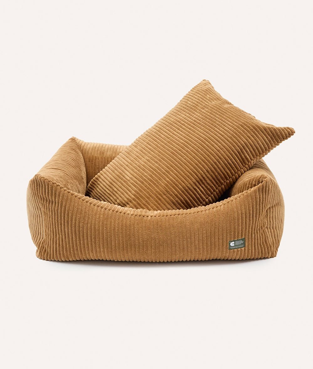 BROWNDDOGBED-423759.webp