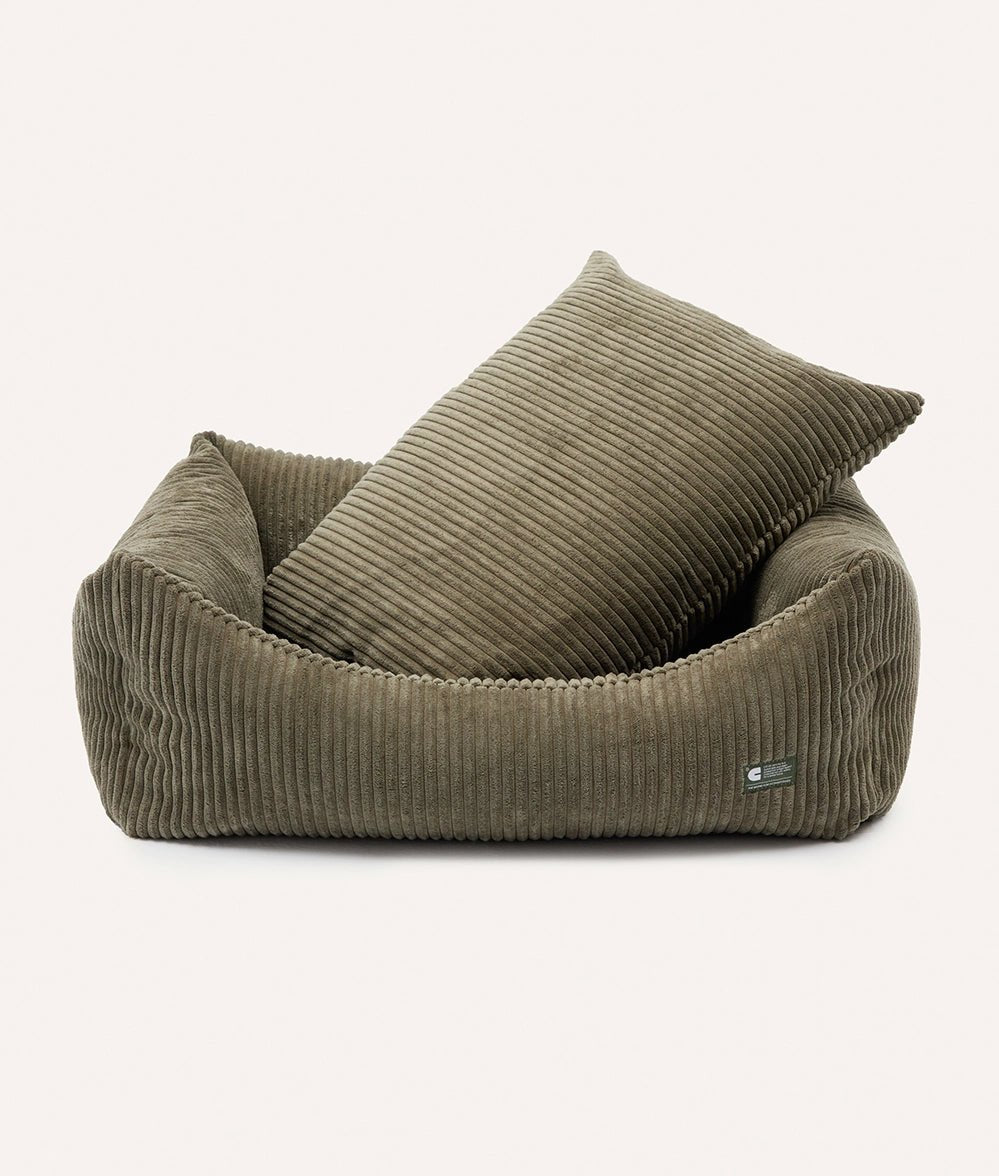 Olivedogbed-878204.webp