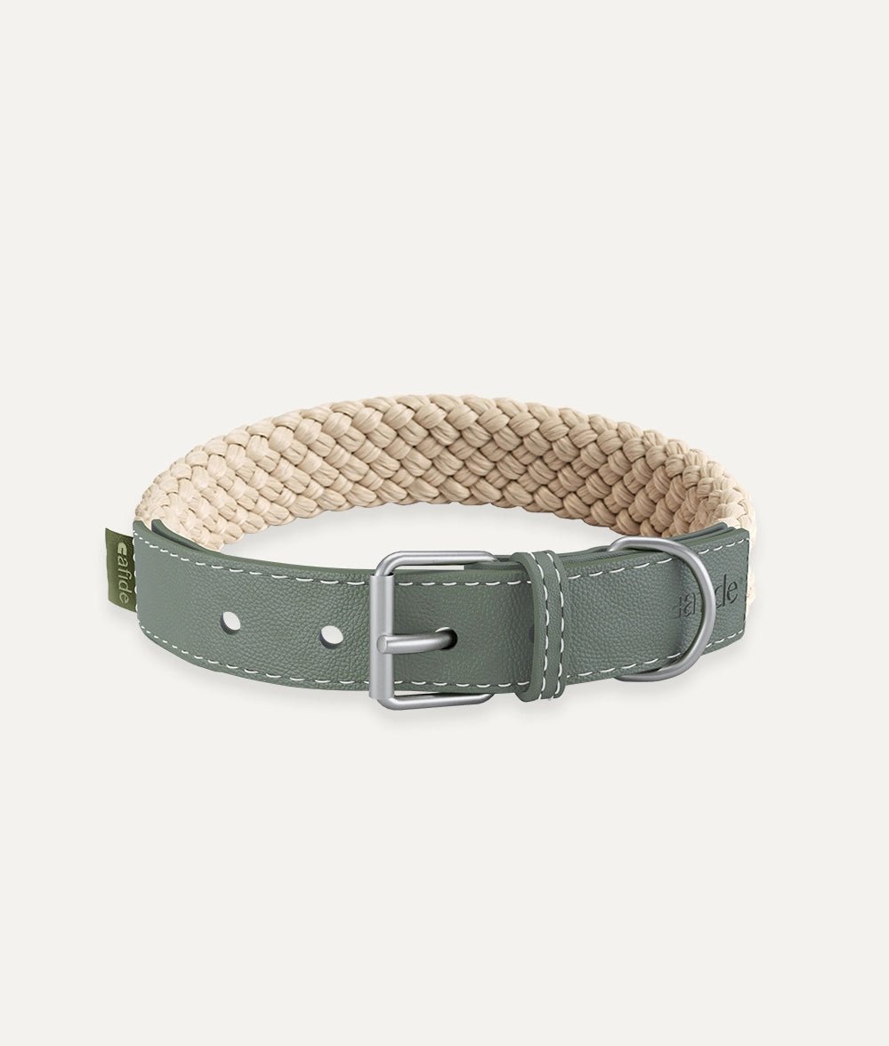 greenveganleatherdogcollar-279663.webp